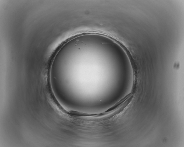 X0000092001503200709061428