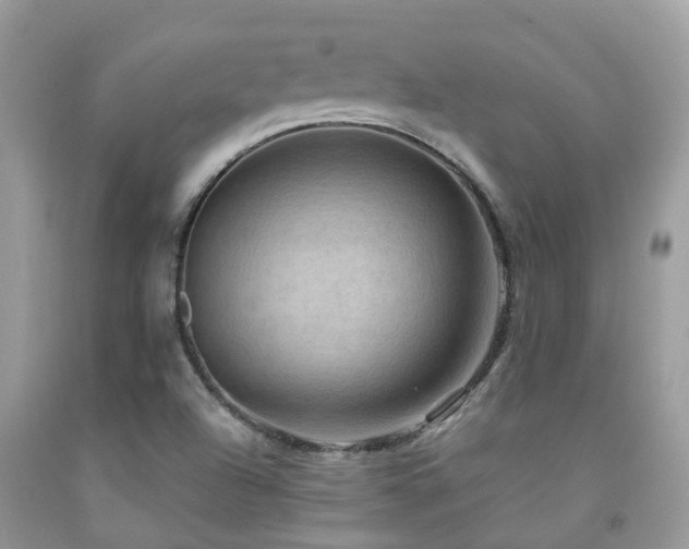 X0000092001504200709061428