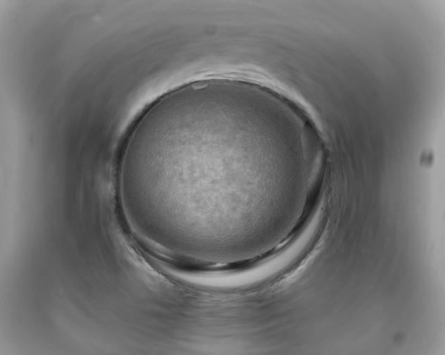 X0000092001506200709061428