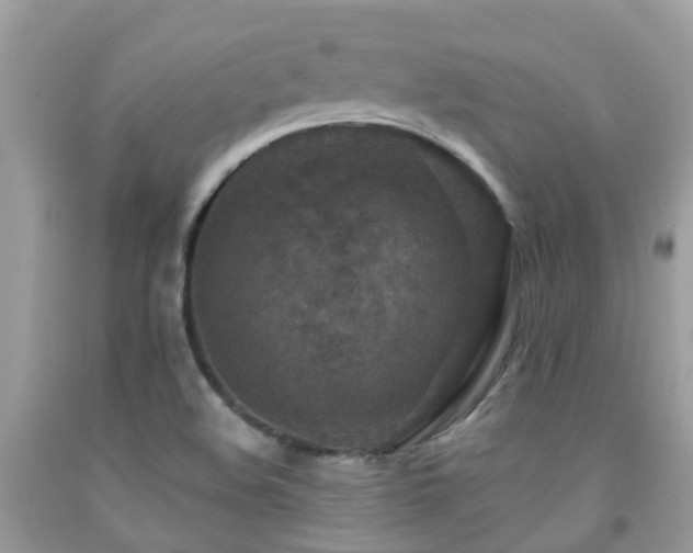 X0000092001508200709061428