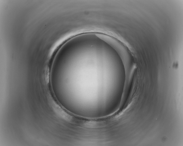 X0000092001510200709061428