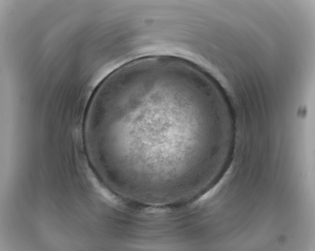X0000092001513200709061428