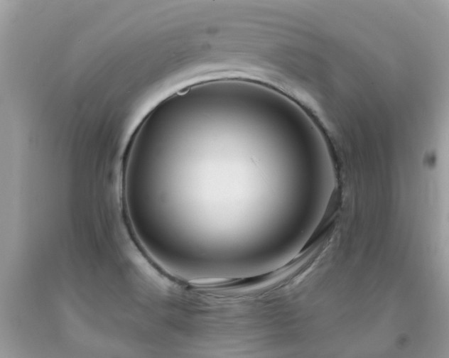 X0000092001516200709061428