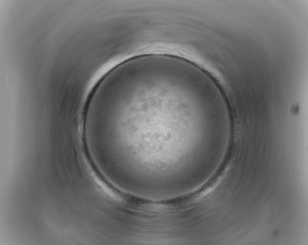 X0000092001517200709061428