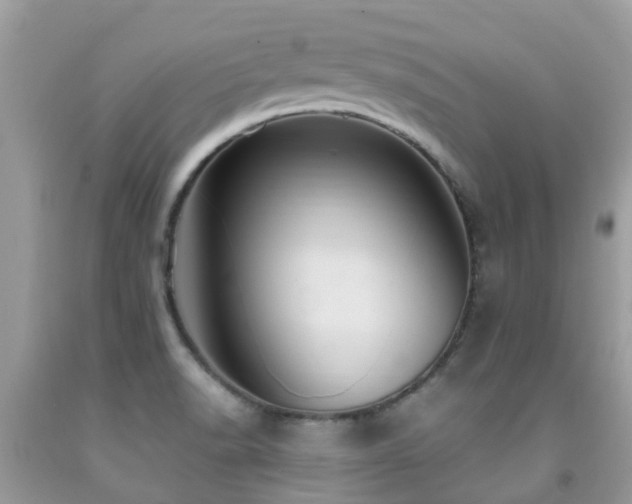 X0000092001518200709061428