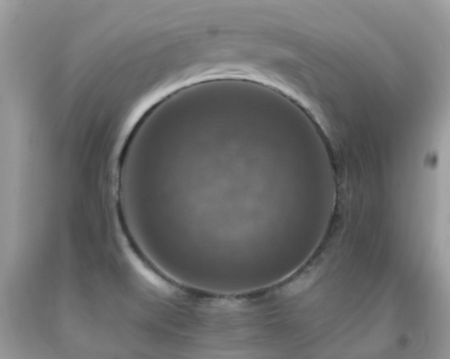 X0000092001519200709061428