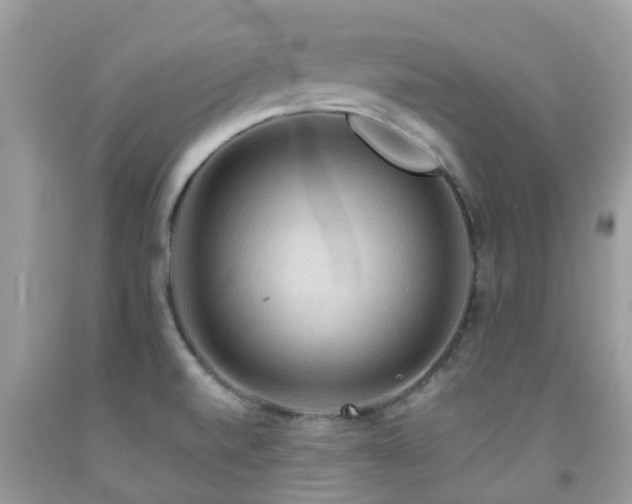 X0000092001520200709061428