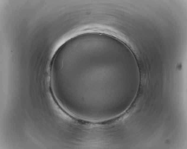 X0000092001522200709061428