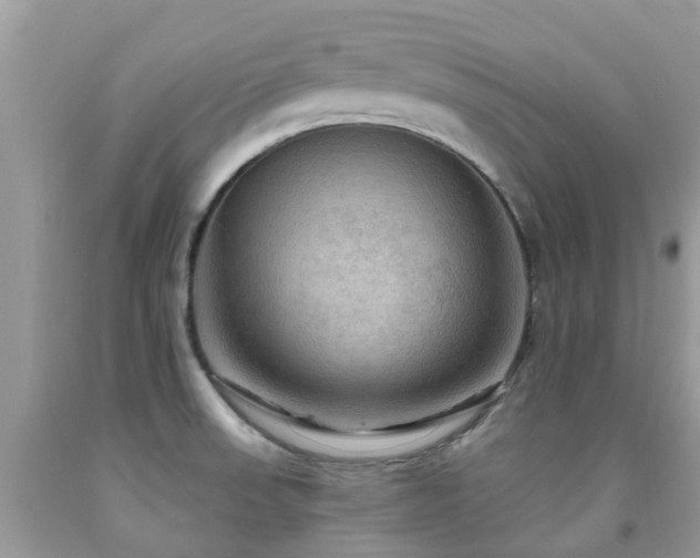 X0000092001523200709061428