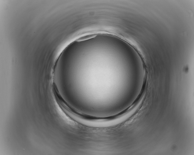 X0000092001524200709061428