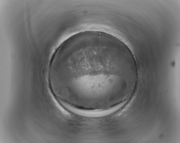 X0000092001525200709061428