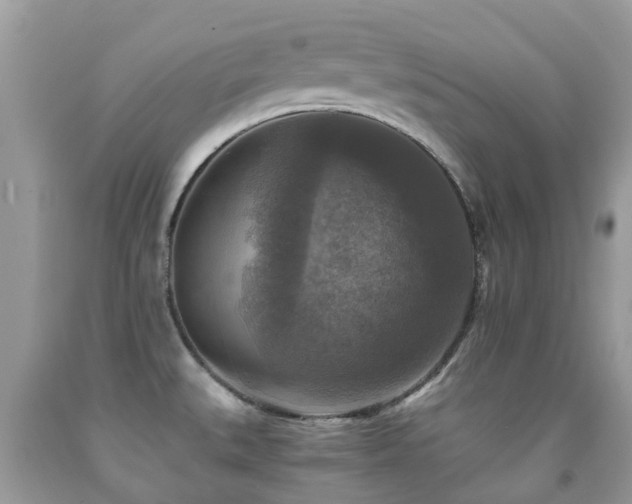 X0000092001527200709061428