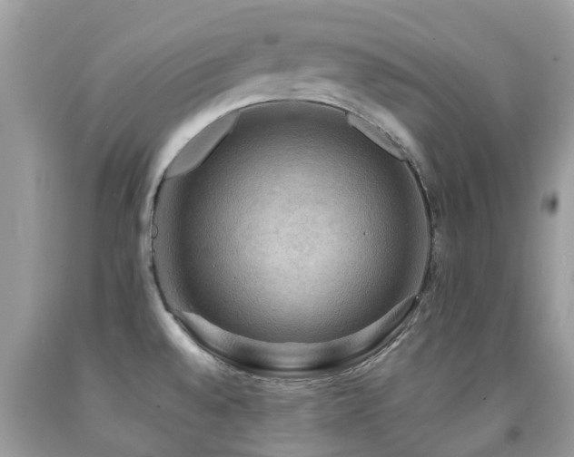 X0000092001528200709061428