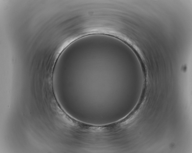 X0000092001529200709061428