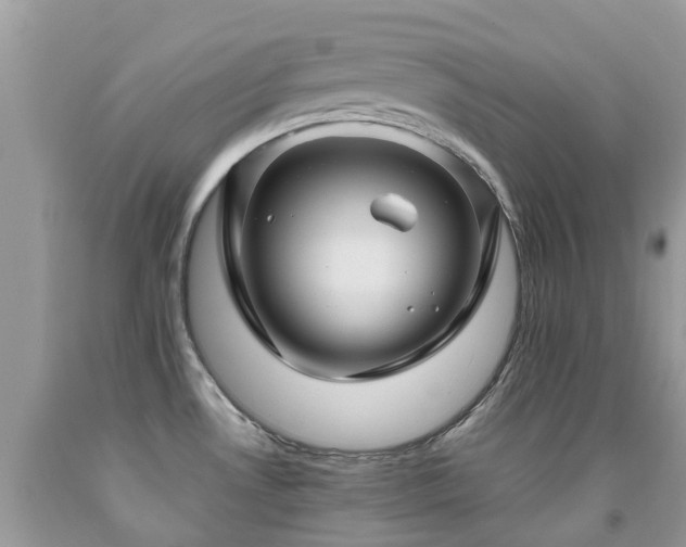 X0000092001530200709061428