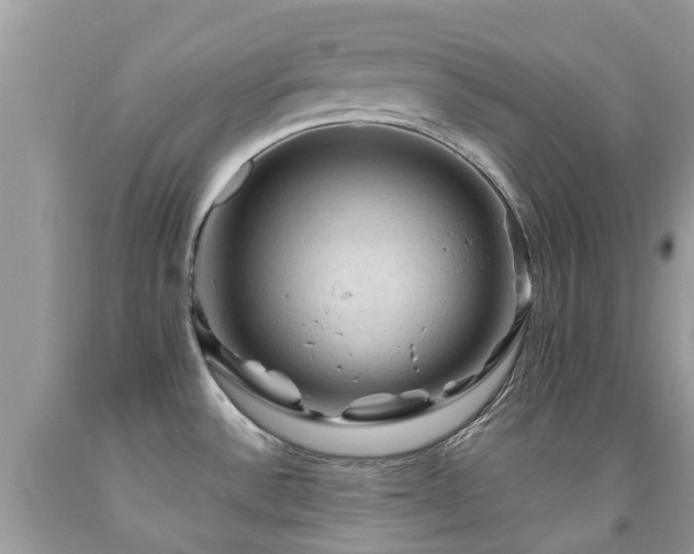 X0000092001532200709061428