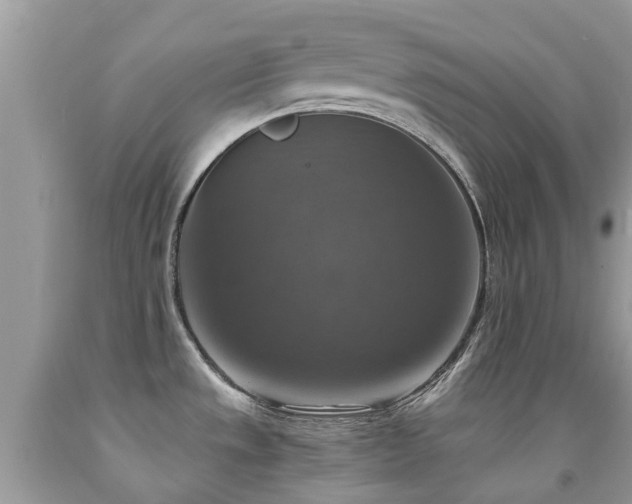 X0000092001533200709061428