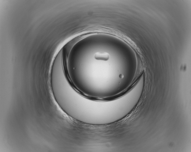 X0000092001536200709061428