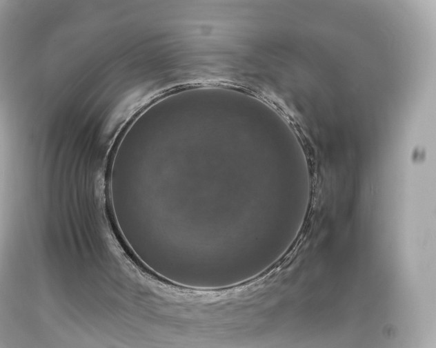 X0000092000002200709131523