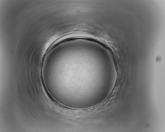 X0000092000003200709131523