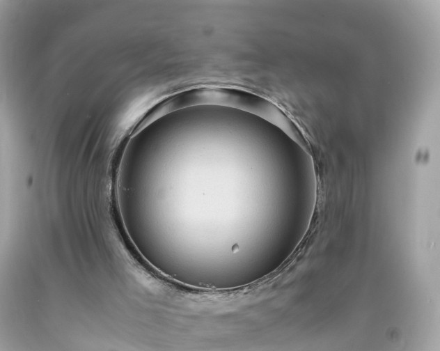 X0000092000005200709131523