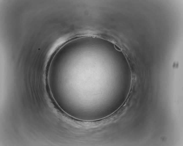 X0000092000006200709131523