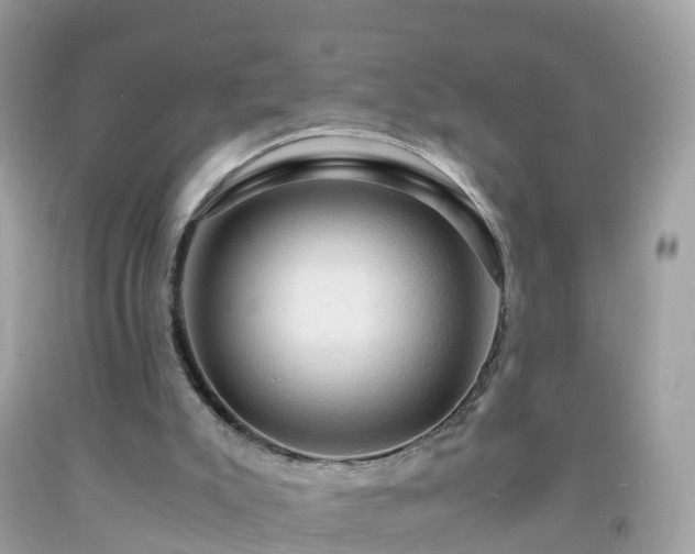 X0000092000007200709131523