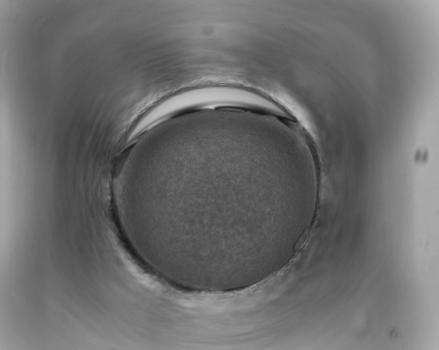 X0000092000009200709131523