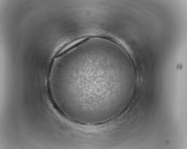 X0000092000010200709131523