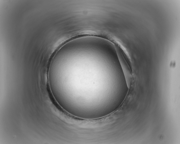 X0000092000011200709131523