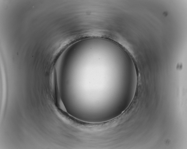 X0000092000013200709131523