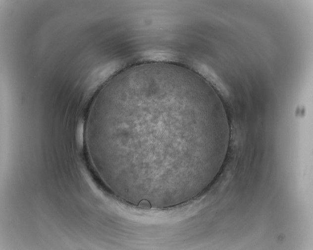 X0000092000014200709131523