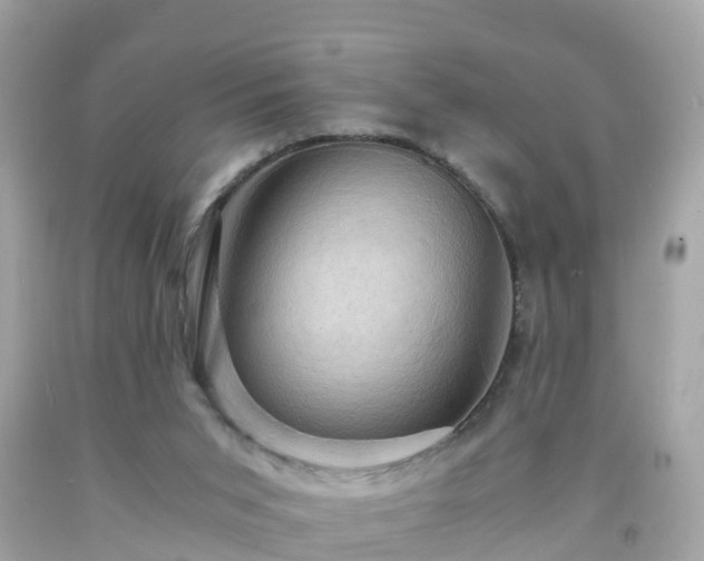 X0000092000015200709131523