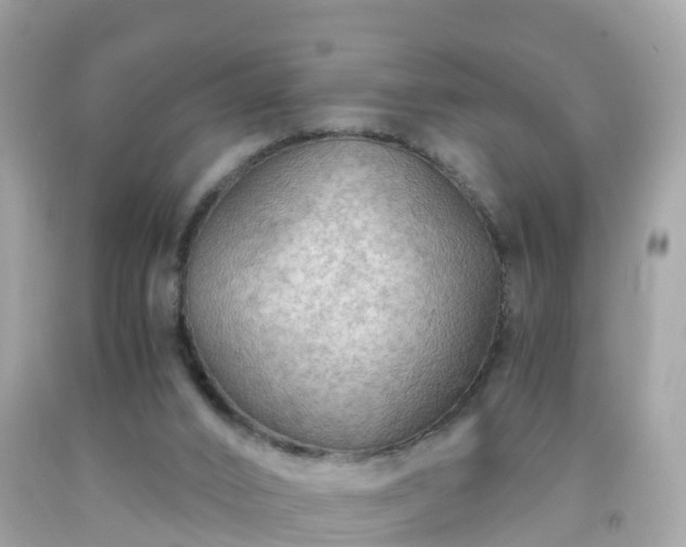 X0000092000016200709131523