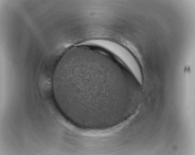 X0000092000017200709131523