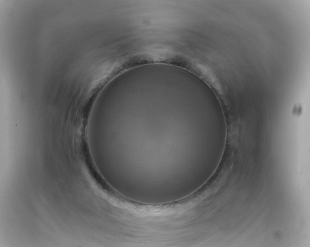 X0000092000018200709131523