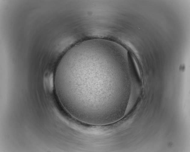 X0000092000020200709131523