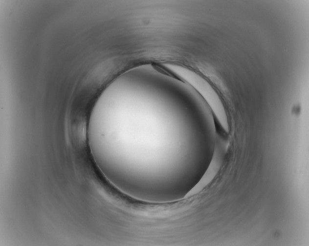 X0000092000021200709131523