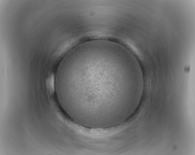 X0000092000022200709131523