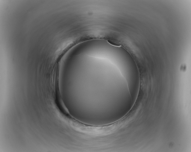 X0000092000023200709131523