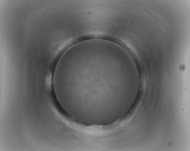 X0000092000024200709131523