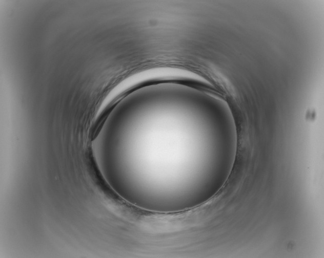 X0000092000025200709131523