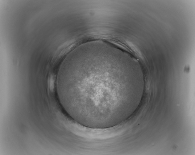 X0000092000026200709131523