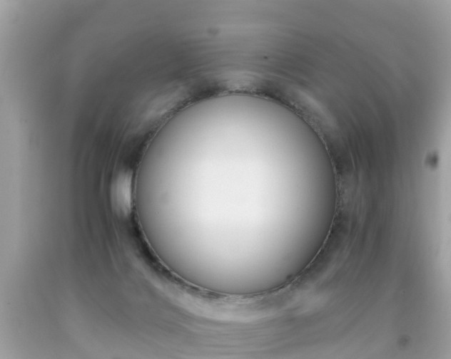 X0000092000028200709131523