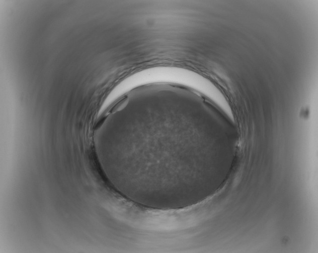 X0000092000029200709131523