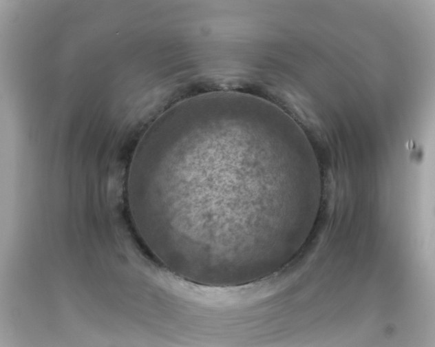 X0000092000030200709131523