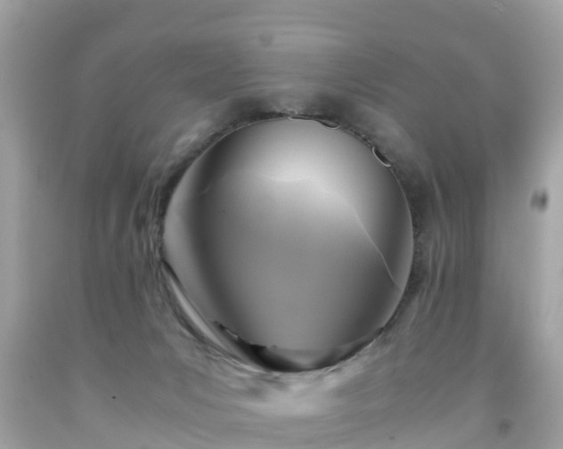 X0000092000031200709131523