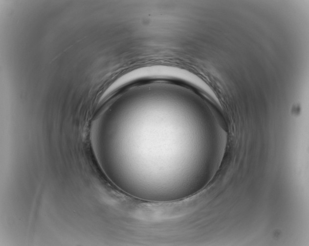 X0000092000033200709131523