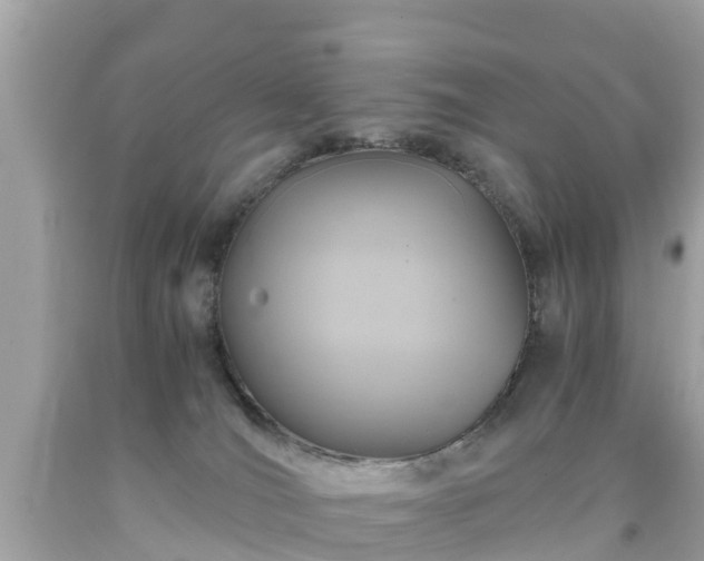 X0000092000036200709131523