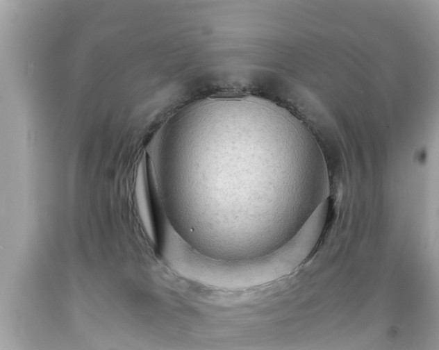 X0000092000037200709131523